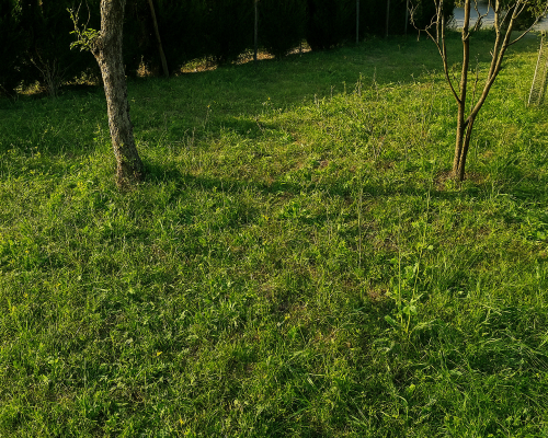 Garten vorher