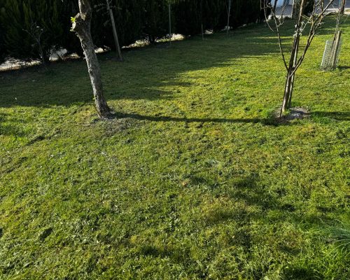 Garten nacher