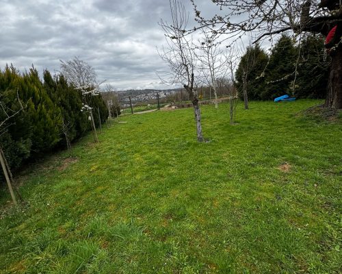 Garten vorher